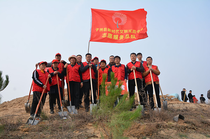 子洲县税务局开展春季义务植树活动
