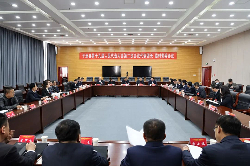 县十九届人大二次会议召开代表团长和临时党委会议