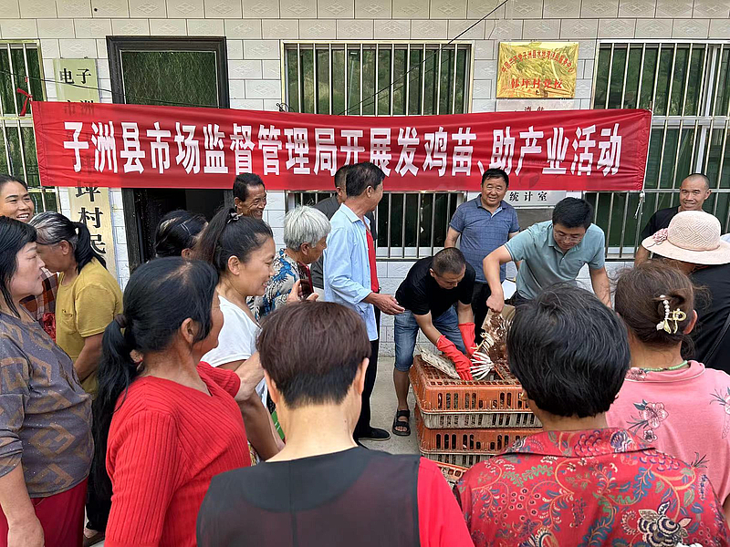 子洲县市场监督管理局开展发鸡苗助产业活动