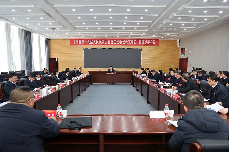 县十九届人大三次会议召开代表团长和临时党委会议